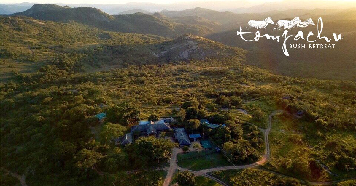 tomjachu's tweet photo. The Lowveld has a pleasant subtropical climate with relatively few extremes of hot or cold weather. This makes it a great all year round destination. Our low season runs from the beginning of May, till the end of September...
#tomjachu #tomjachubushretreat https://t.co/QKt43cDUpQ