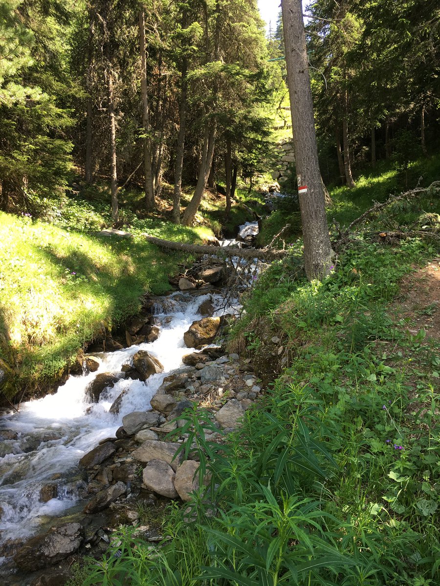 maarty_37's tweet photo. Pila, Aosta, Luglio 2019
#lake #WorldPhotographyDay #WorldPhotoDay #flower #water https://t.co/HWnb9CB7X4
