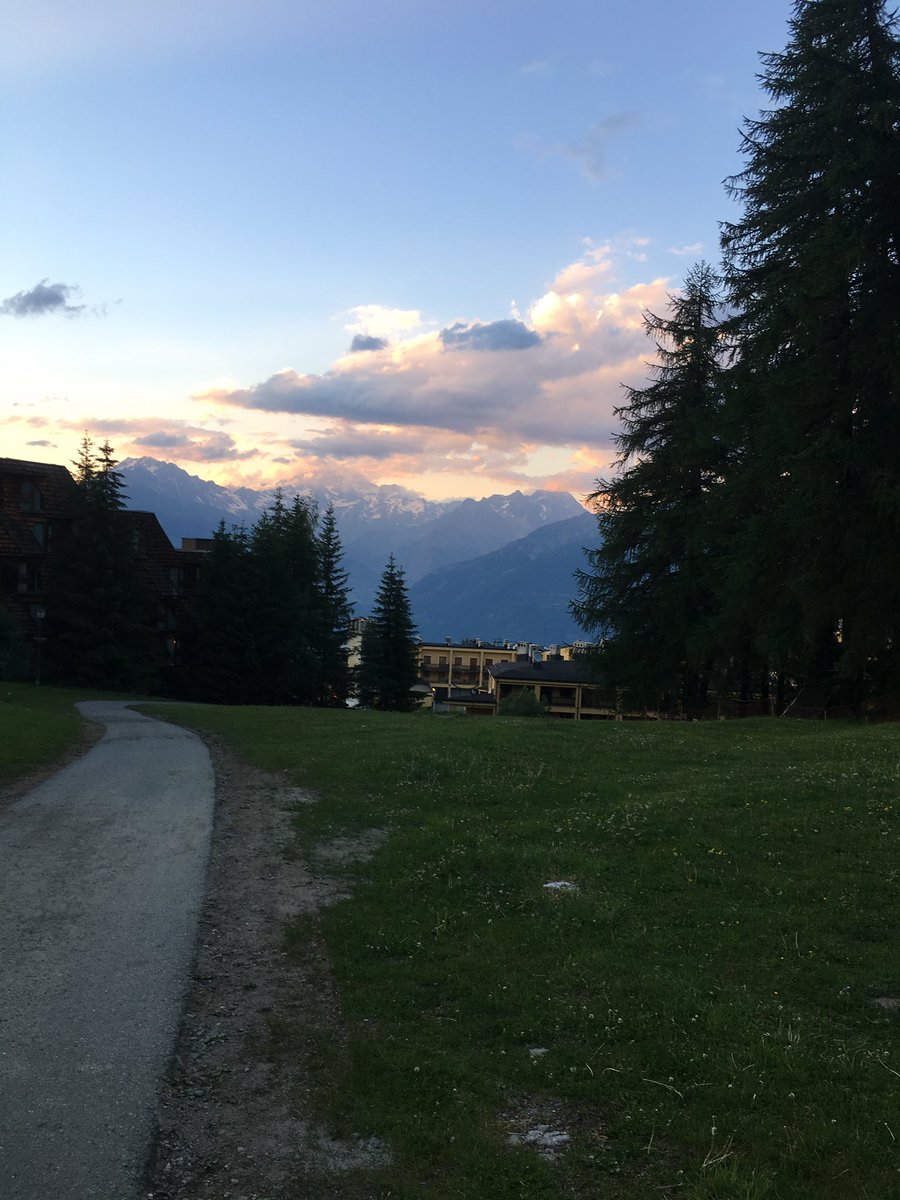 maarty_37's tweet photo. Pila, Aosta, Luglio 2019
#lake #WorldPhotographyDay #WorldPhotoDay #flower #water https://t.co/HWnb9CB7X4