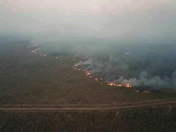 bnthing's tweet photo. Indios morrem, bichos morrem, matas morrem, rios morrem.
Quantas mortes são necessárias para manter viva a ambição do homem. 
#PrayForAmazônia https://t.co/sijV8XRcig