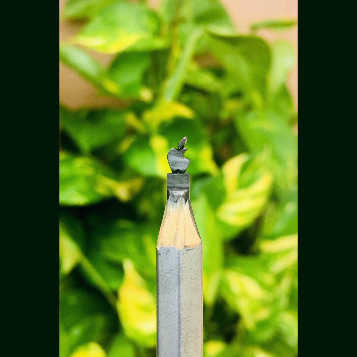 gokulkrishna_27's tweet photo. Rob Janoff is an American graphic designer of corporate logos and identities, printed advertisements and television commercials. He is known for his creation of the Apple logo..
.
.
Pencil miniature @gokul_artz_
.
10B pencil..
.
#apple #applefan #applelogo #logoapple #miniature https://t.co/lYowZ7DgdA