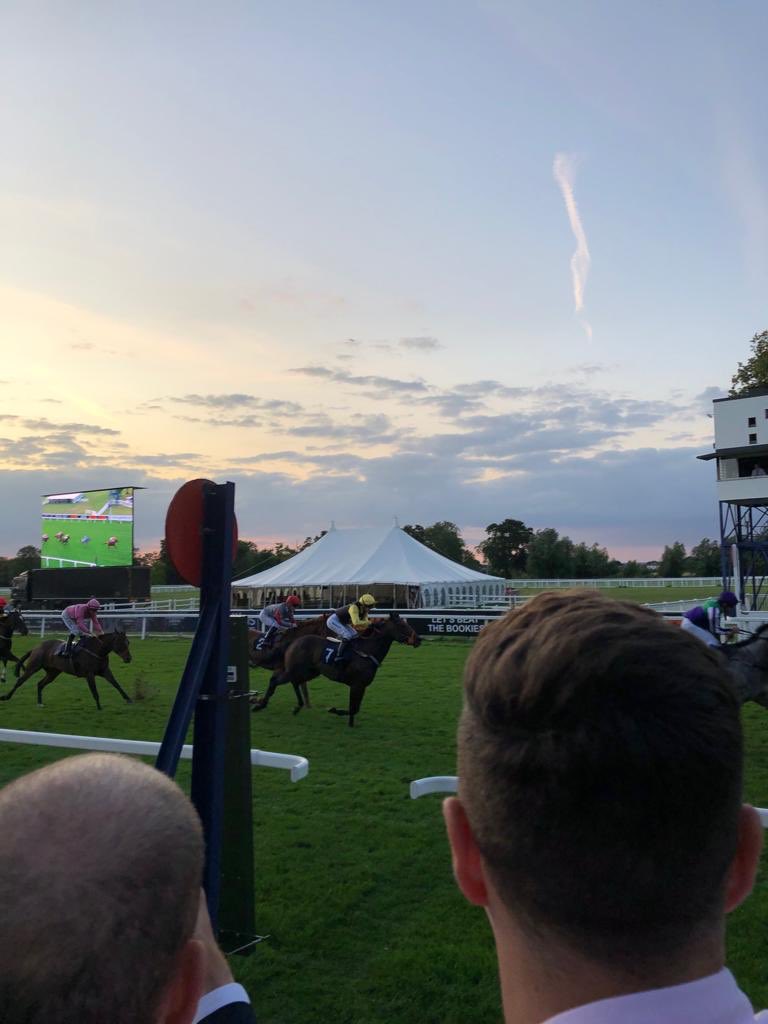 Showcase tweet media