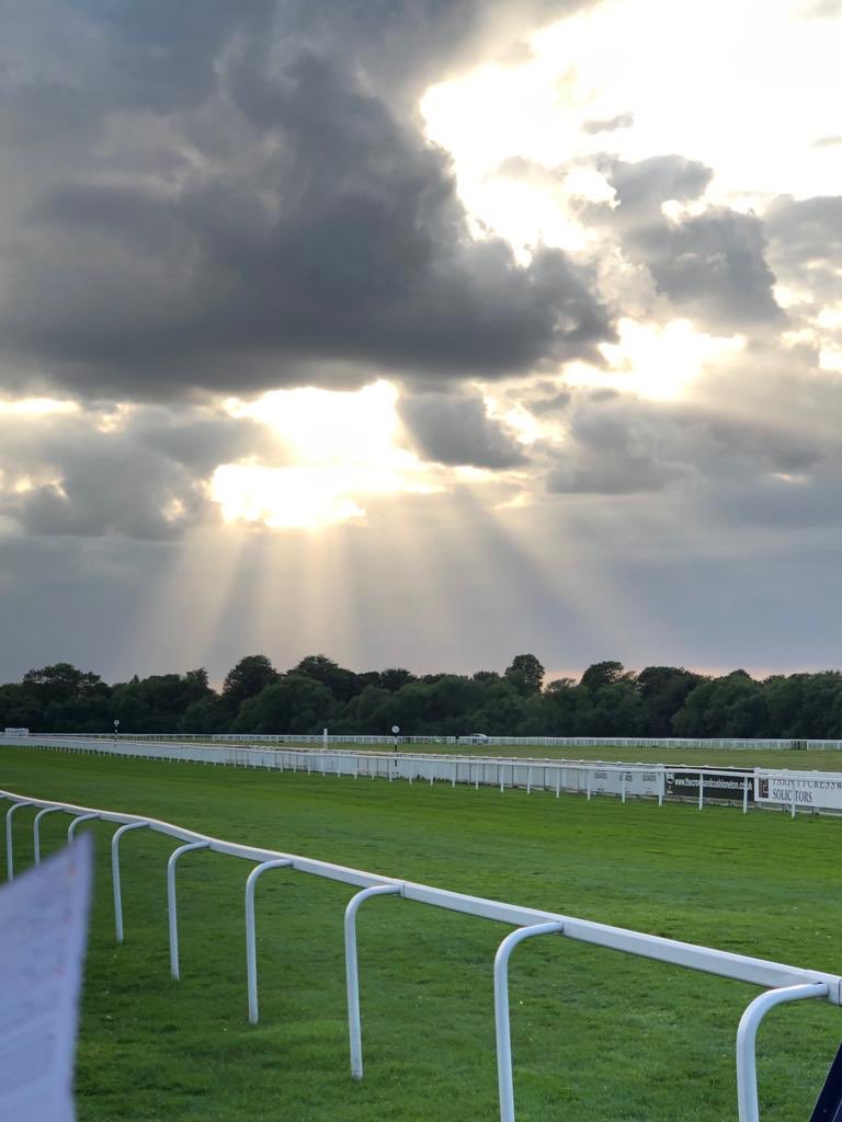 Showcase tweet media