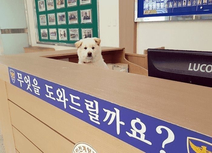 ❤️ 러블리너스의 소원을 들어드립니다!
지금 바로 #러블리즈 에게서 보고싶은 표정, 애교, 동작을 알려주세요! 내일 #아이돌카페 에서 이루어드립니다