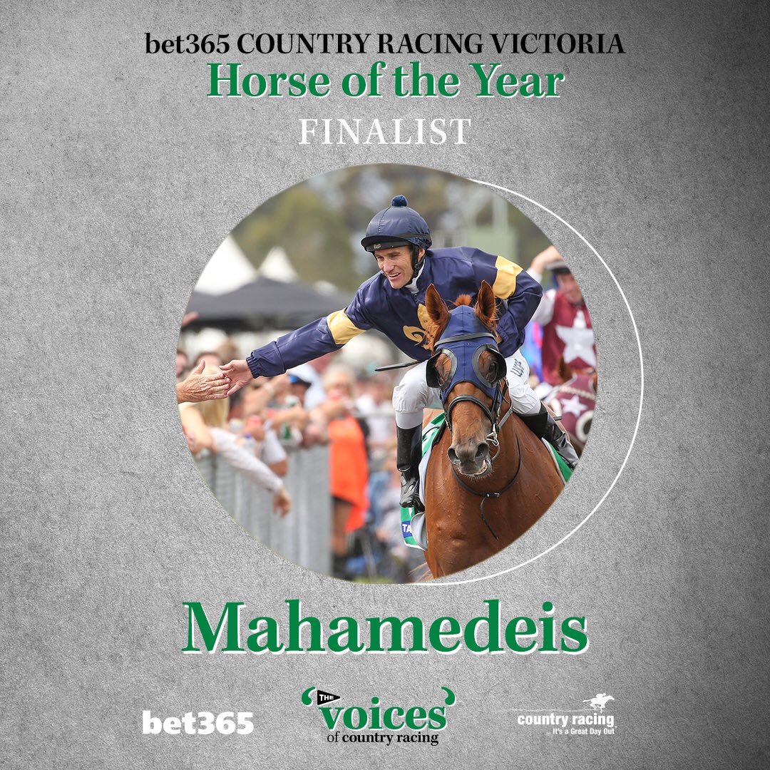 Country_Racing's tweet photo. 🐎 @bet365_aus HORSE OF THE YEAR AWARD 🐎

To be announced on Saturday night this year we see 3 finalists fight out the highly sought after Horse of the Year award;

🐎 Another Coldie
🐎 Barry the Baptist
🐎 Mahamadeis

Who's got your vote?
#CRVAwards https://t.co/UZCjlfjxbK