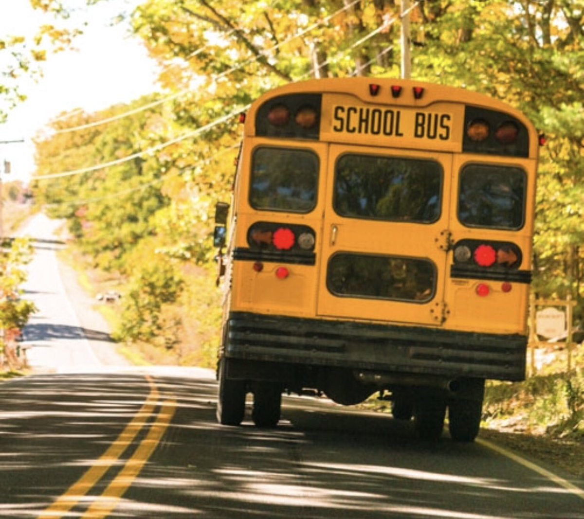 Желтый школьный автобус. Школьный автобус Чикаго. Школьный автобус США. Жёлтый школьный автобус. Школьный автобус США марки.