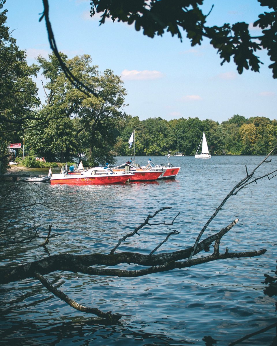 gandafro's tweet photo. Que bien tener tantos lagos cerca del centro de Berlín y poder disfrutar un poco de la naturaleza 🌿
So good to have so many lakes around Berlin and enjoy nature #langersee #berlin #EnjoyGermanNature https://t.co/xGLgpjBpCp