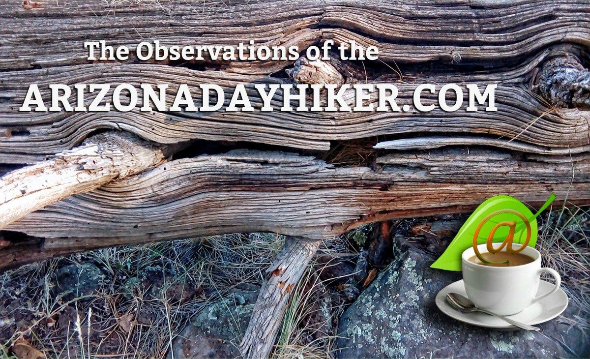 nazstuff's tweet image. Observing cycles in Nature… here. A dead Ponderosa Pine Tree is returning home. A local forest ranger once told me that it “takes the same number of years for a tree to disappear as it did to reach maturity. 
This image can be found in my gallery. impasto.picfair.com
