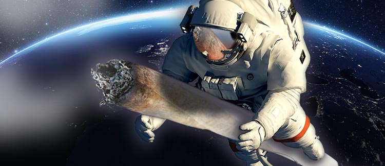 ArmyOfPotheads's tweet photo. @LARRYIRBY6 Ahhh kush kusshhh Hello General! We've opened bay doors all #HighCommanders with #TheHighCommand (THC) are granted flight clearance
Kussssssshhhhh we are all here sending our positive vibes and intentions for a fantastic voyage!
Kush kush kussshh...Over!
Kusssshhshhhhh.... https://t.co/UkzEdpm6Bg