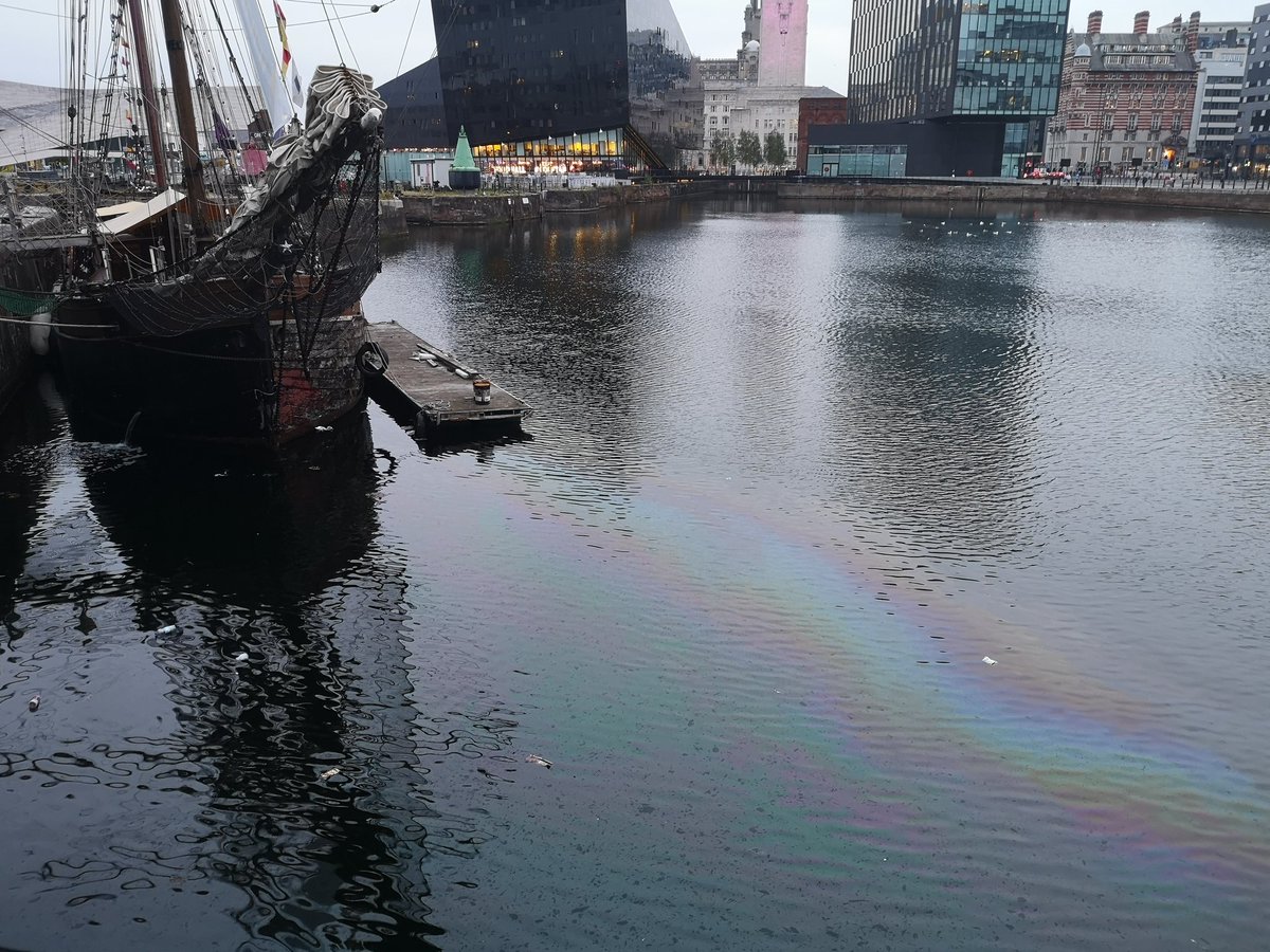 LearnFromBixtethGardens tweet media