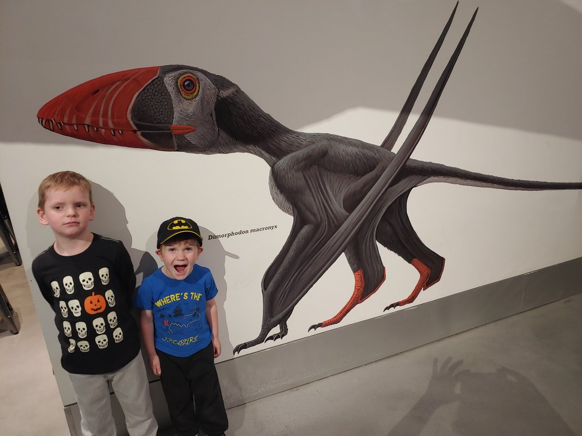 Pterosaur fun