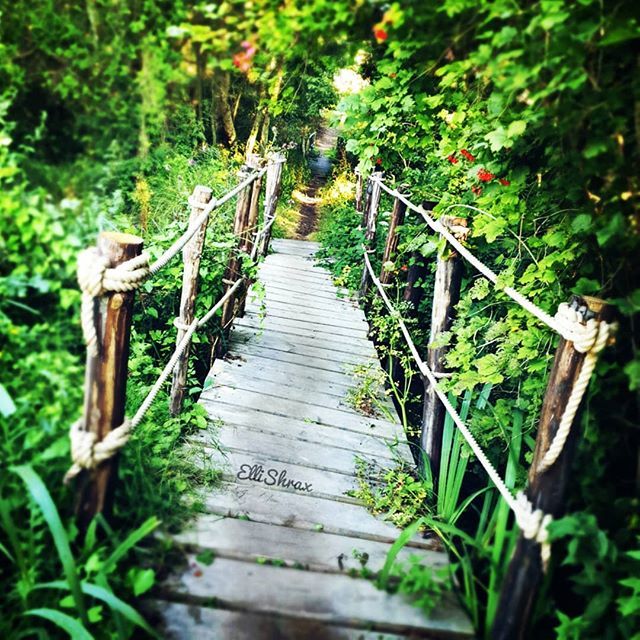 Had a wonderful bank holiday Monday with friends at @englandsmedfest. Lots of beautiful scenery including this lovely hidden woodland bridge. 🌲
-
Most of my photos turned out pretty poorly as I could barely see my phone most of the time due to the in… bit.ly/2Ho1yAv