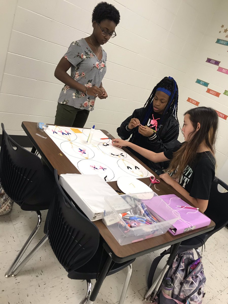 KatieCreson's tweet photo. Making mitosis models in class today followed up with a worksheet for connection to the activity! @OBMSPride #placetOBe https://t.co/v1MEKBnO6e