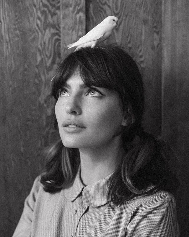 How much is a bird on the head worth?