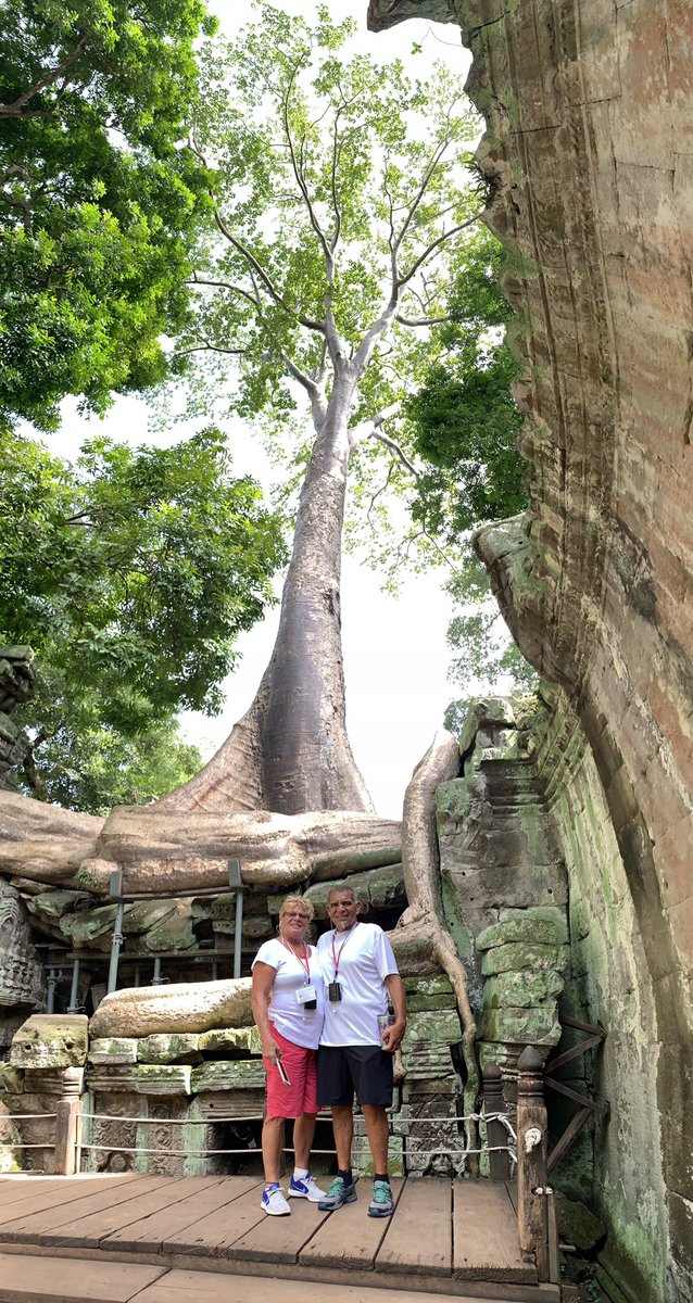 MomTrafalgar's tweet photo. Ta Prohm temple, This temple is considered to be Angkor’s most beautiful structure and it overgrown with fig trees #simplytrafalgar https://t.co/Be5OLZeiUO