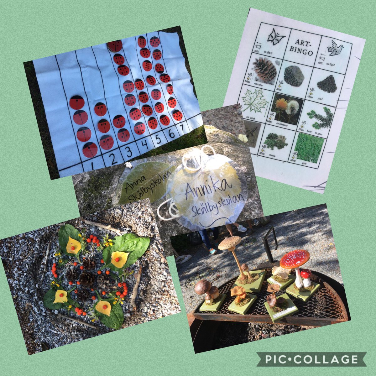 Glad och tacksam efter en inspirerande dag med tillgänglig utomhuspedagogik i fokus! ☀️ 
Tack #naturskolan och #spsm för en mycket givande dag! 🌸 #jagharvärldensbästajobb