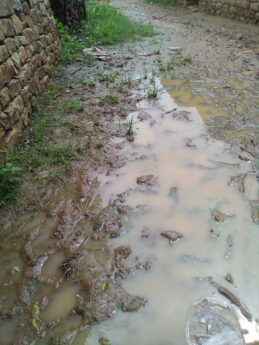 Ramshar78963735's tweet photo. Panna jila ke brijpur panchayt ke Dhanauja gao me rcc road na hone ke karan barsat me niklne me logo ko ho rahi samsya. #evolunteer https://t.co/oY0GjibRh6