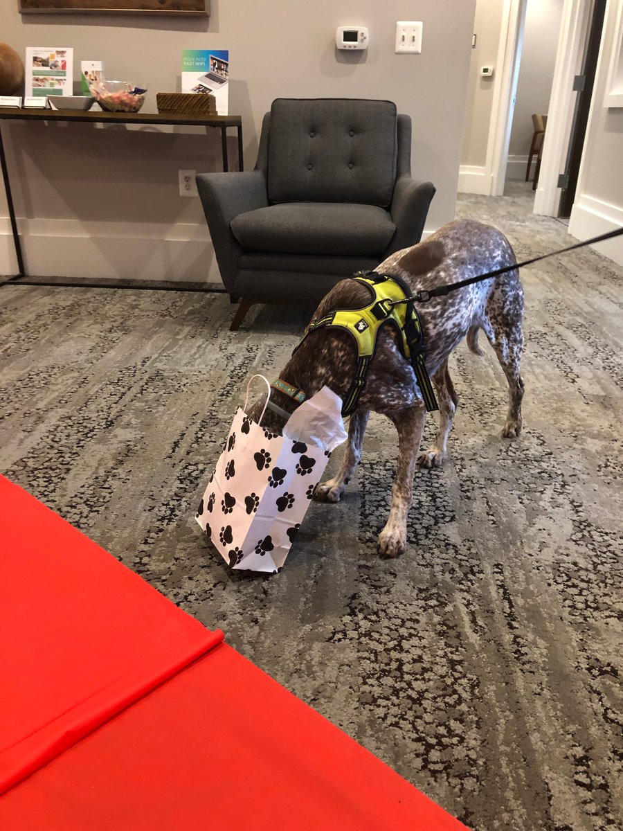 Furry residents at Monroe Place received the red carpet treatment in recognition of National Dog Day. #GatesHudsonFTW