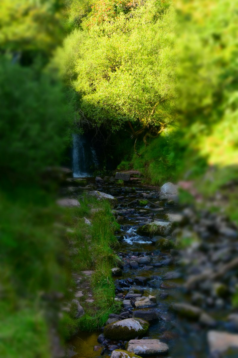 DavidjonKnight's tweet photo. Bank Holiday trip to Cyfoeth in the Brecon Beacons Wales. Amazing! Mountains, waterfalls & rapids, woodland and wilderness glorious in the summer sunshine
#nature #mountains #waterfall #Wales #UK #beauty #blessed #awe #breconbeacons #Wales #campvc #canon #brecon #southwales https://t.co/pILuUYTbxe