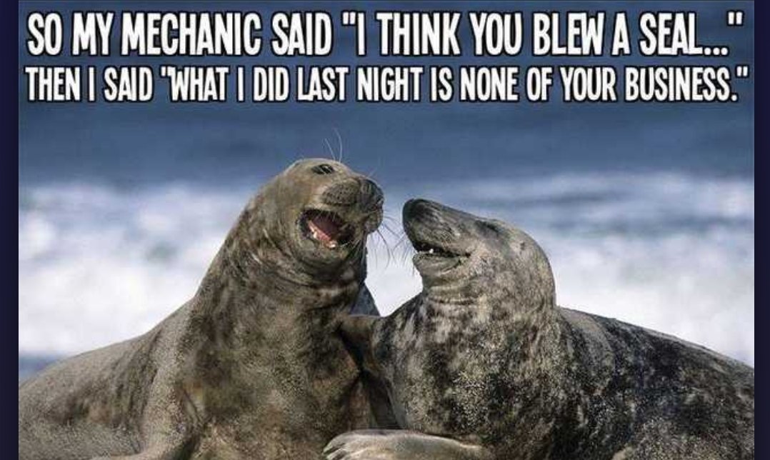 ashlee_bostock's tweet photo. I needed a good laugh today https://t.co/GmmvFUf2M7