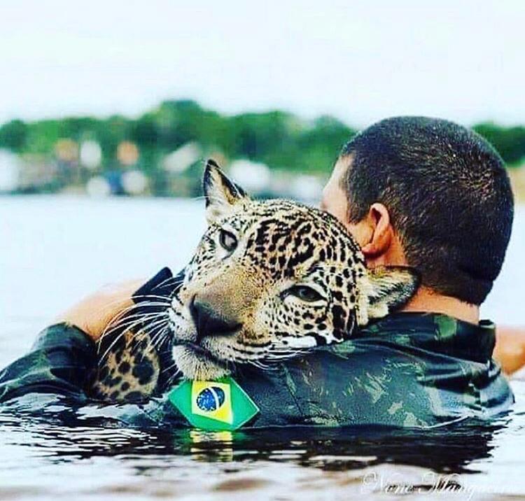 CPmentecuerpo's tweet photo. El #Amazonas arde y nuestras #conciencias parecen acalladas🙄🌱
¿Cuándo vamos a reaccionar?...
#prayforamazonia #Amazonia #incendioenamazonas #PrayforAmazonia #AmazonaSOS #arde #llamasenamazonia #concienciaverde #ecología #pulmondelplaneta https://t.co/hH8NSZm0qI