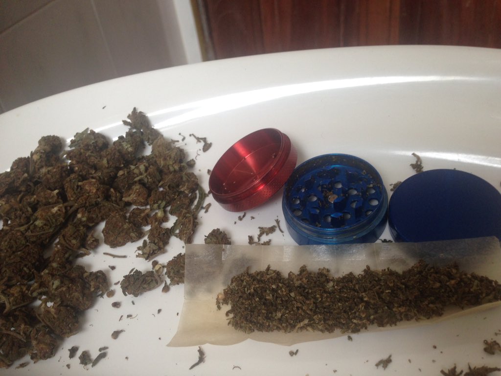 PLUGIN16858970's tweet photo. Take a break and serve yourself 💨💨👽👽activated 👽@rearea_canis @dumasve @Vollie74 @Hippie_of_Love @Highgirl3434 @LARRYIRBY6 https://t.co/uqbwxqqZ4J