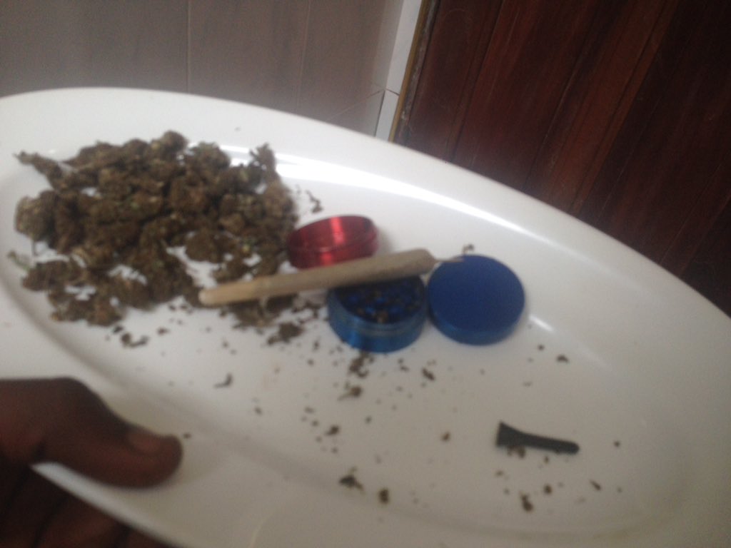 PLUGIN16858970's tweet photo. Take a break and serve yourself 💨💨👽👽activated 👽@rearea_canis @dumasve @Vollie74 @Hippie_of_Love @Highgirl3434 @LARRYIRBY6 https://t.co/uqbwxqqZ4J