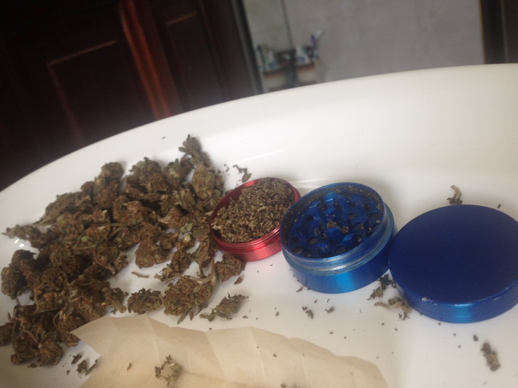 PLUGIN16858970's tweet photo. Take a break and serve yourself 💨💨👽👽activated 👽@rearea_canis @dumasve @Vollie74 @Hippie_of_Love @Highgirl3434 @LARRYIRBY6 https://t.co/uqbwxqqZ4J