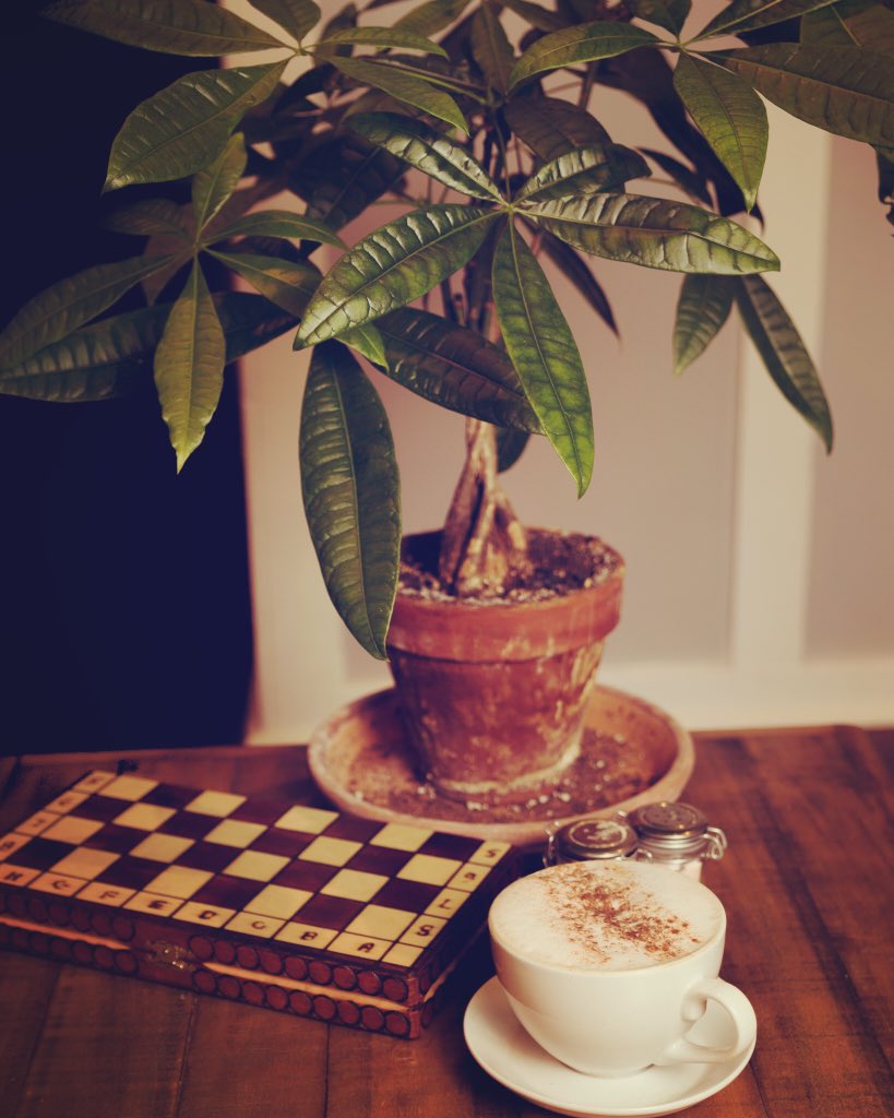 It’s that time of year again! Come enjoy a Chai Latte made with @nelsonstea at @hoitea_toitea. Can’t make it out? We’ll bring it to you @doordash @ubereats @totaltakeoutindy. Keep an eye out for  up and coming fun fall flavors! #teatime #fall #hoiteatoitea #chailatte #toyourdoor