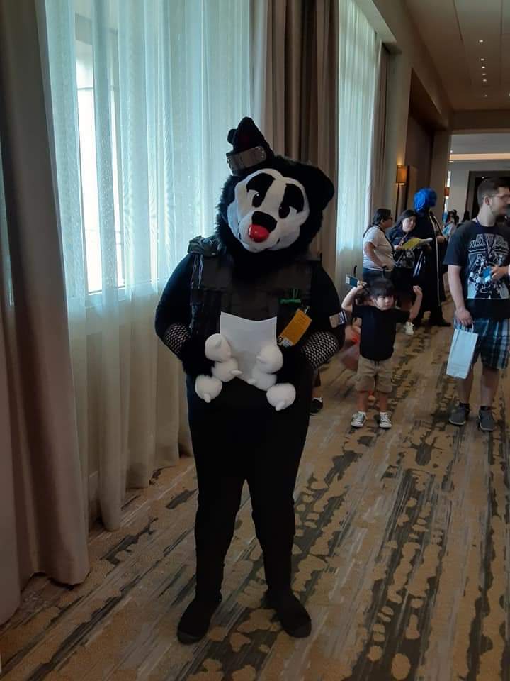 mewtwostyle's tweet photo. Attended AFW this last weekend and was asked to marry a Jiraiya & Tsunade! That's right -- Sanchez is officially ordained! And this was a legit wedding! #fursuit #fursuiter #furry #wedding #naruto #afw15 #afw2019 https://t.co/vVAewP0PQd