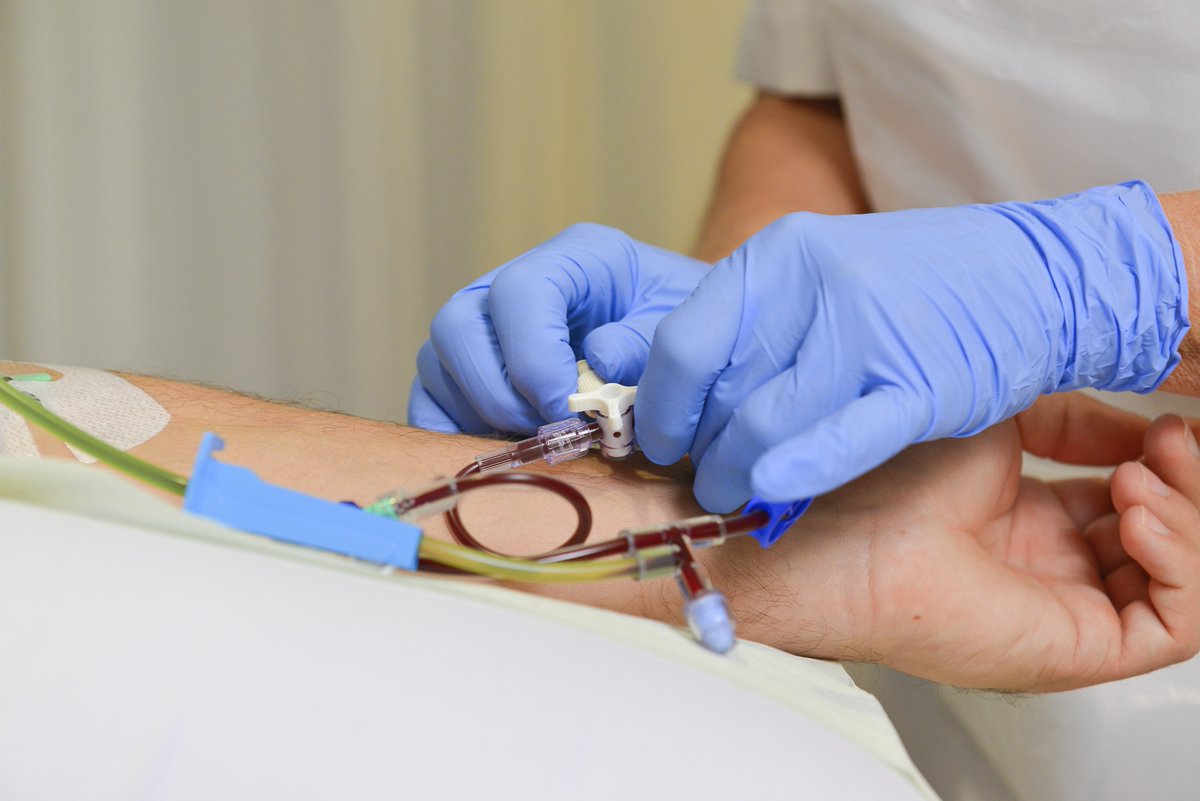 Wauw! Al 134 donoren hebben dit jaar in Nederland stamcellen gedoneerd aan patiënten ergens ter wereld. Daarmee zitten we nu al op meer stamceldonaties dan in heel 2018!
Aan alle donoren: Bedankt, jullie zijn helden! 💙