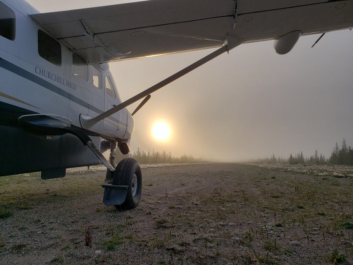 AmphibCaravan's tweet photo. Adventure Air's Aircraft based at Churchill flying for Churchill Wild!
@AmphibCaravan https://t.co/no36i8AI03
