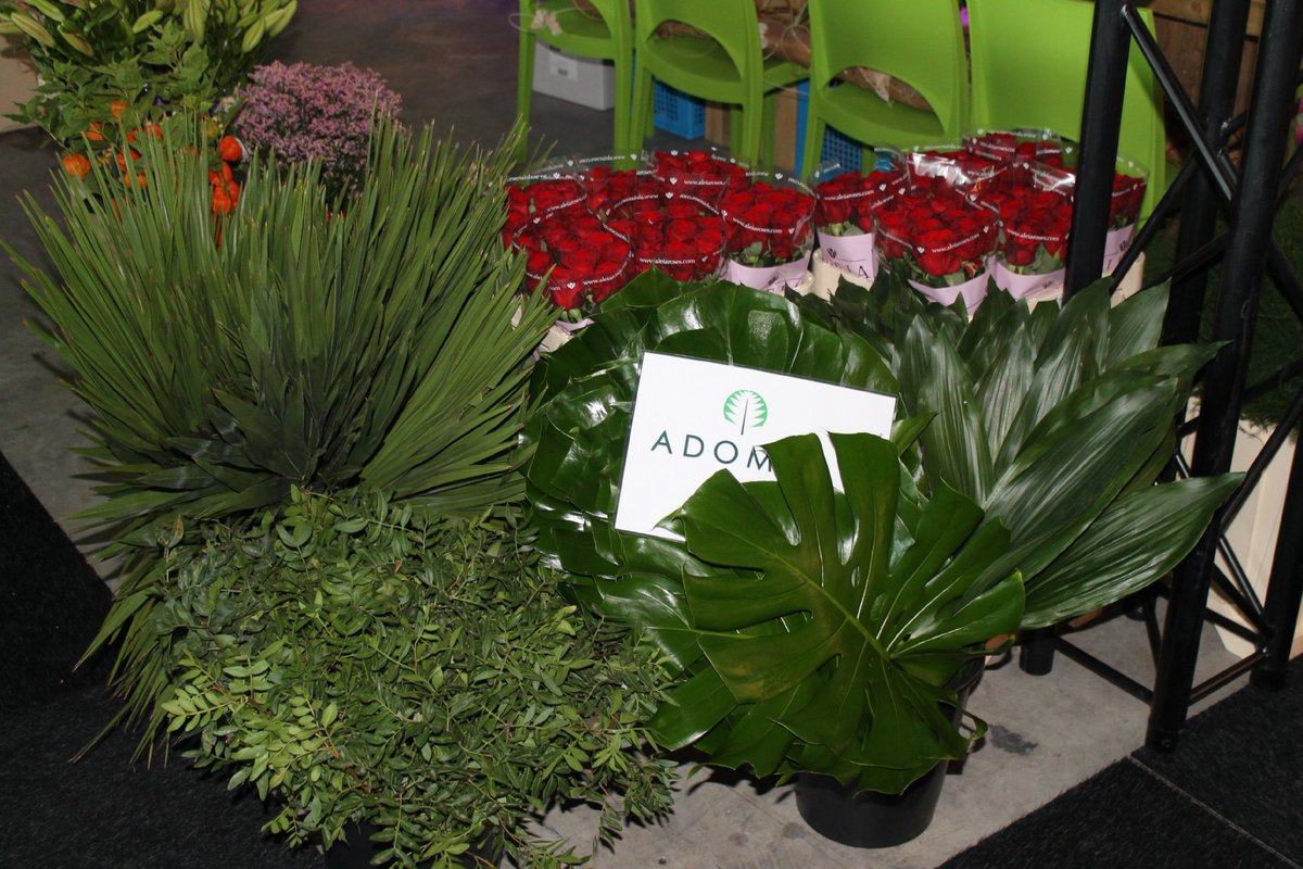 Adomex's tweet photo. Op het Bloem & Bladplein van Trendz werd er vandaag volop gewerkt met onder andere ons groen. Zie hier een mooi resultaat: het Adomex boeket! #beurs #trendz #bloemenblad #plein #adomex #boeket #adomexinternational https://t.co/U0u7mwBmL7