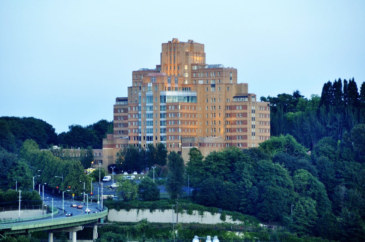 ThirdSectorCo's tweet photo. Proudly Announcing: An exciting Executive Director position in the Pacific Northwest!

Executive Director - Pacific Hospital Preservation &amp; Development Authority

Please see the Position Profile for more detail:
https://t.co/Toov8NTTz7 https://t.co/tybgFOMVA6