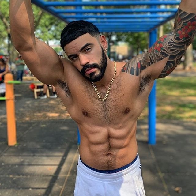 novela_papi
