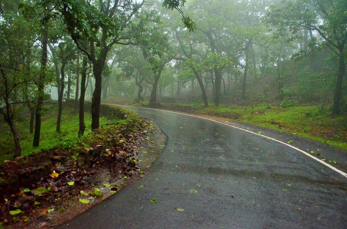 TKagalwalla's tweet photo. The day continues to smell
of everything that reminds me of you…
wet mud,
soaked wood,
lush green trees
and cool waters.
#rain #poetry #TuesdayThoughts #TuesdayMorning https://t.co/tbdH514COa