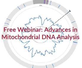 VerogenBio's tweet photo. It's not too late - join our webinar to learn about advances in #mitochondrial #DNA analysis on August 29th
https://t.co/uKg6POcmRh

#verogen #ngs #mps #mtDNA #forensicDNA #forensic #forensicscience #forensicgenomics  #dnatesting #forenseq https://t.co/rJK37BsL4N