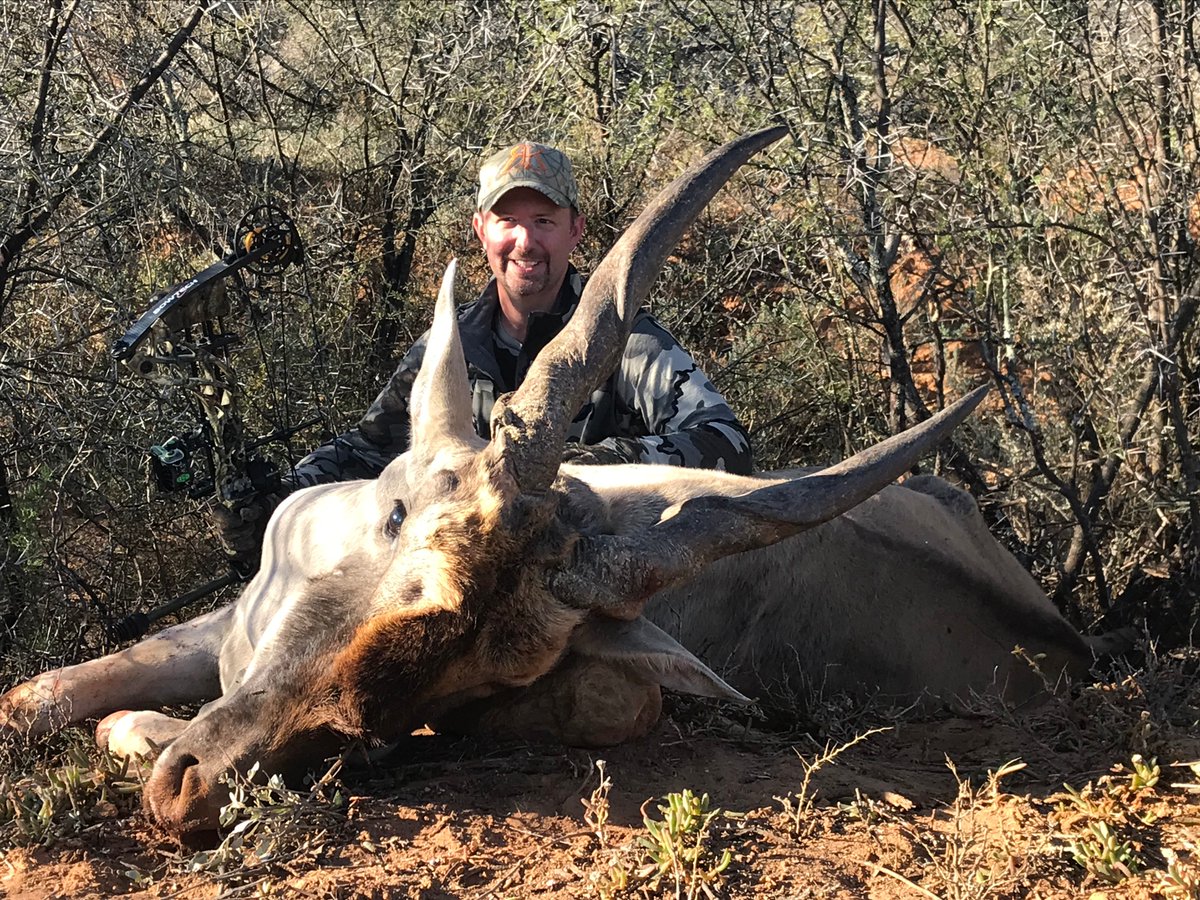 BowtechArchery's tweet photo. Trophy Tuesday! It's already been a great season for #TeamBowtech.
Here's Paige Pearce with an antelope she harvested with a Realm. Krissy Hay Knox used her Realm to get an amazing buck she's been watching since spring, & Todd Hisey got an Eland with his Carbon Icon! https://t.co/tSDrQ8Qr01