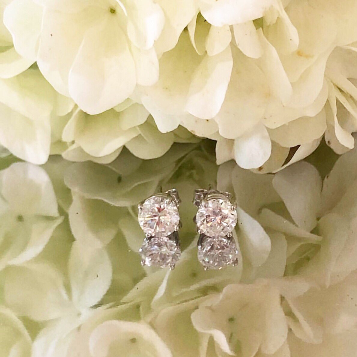 vaughans_1949's tweet photo. Rock her world! 💍 #diamondstuds #diamonds #finejewelry #diamondlover #earrings #diamondjewelry #studearrings #diamondsareagirlsbestfriend #diamondearrings #JOTD #easternnc #classic #studs #earrings #instagramadvantage #localchallenge #wilsonnc #shoplocal #shoppesatbrentwood https://t.co/F9HWPfzVsF