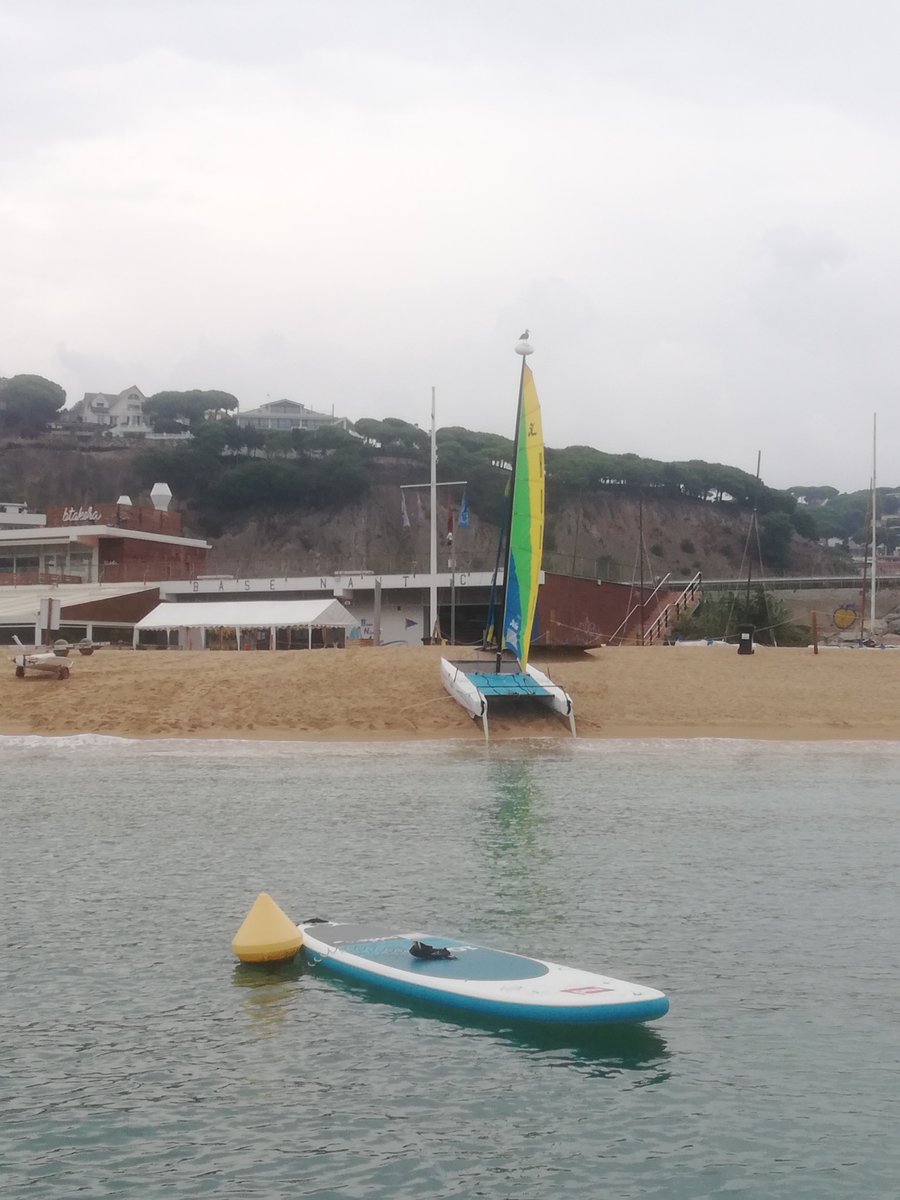 BNARENYS's tweet photo. La pluja no ens atura!
La gent de Mar som així
#bnam #gentdemar #esportsnautics @radioarenys @Turisme_Arenys @CostaBcnMaresme @UCECcat https://t.co/Om5KUsoYQJ
