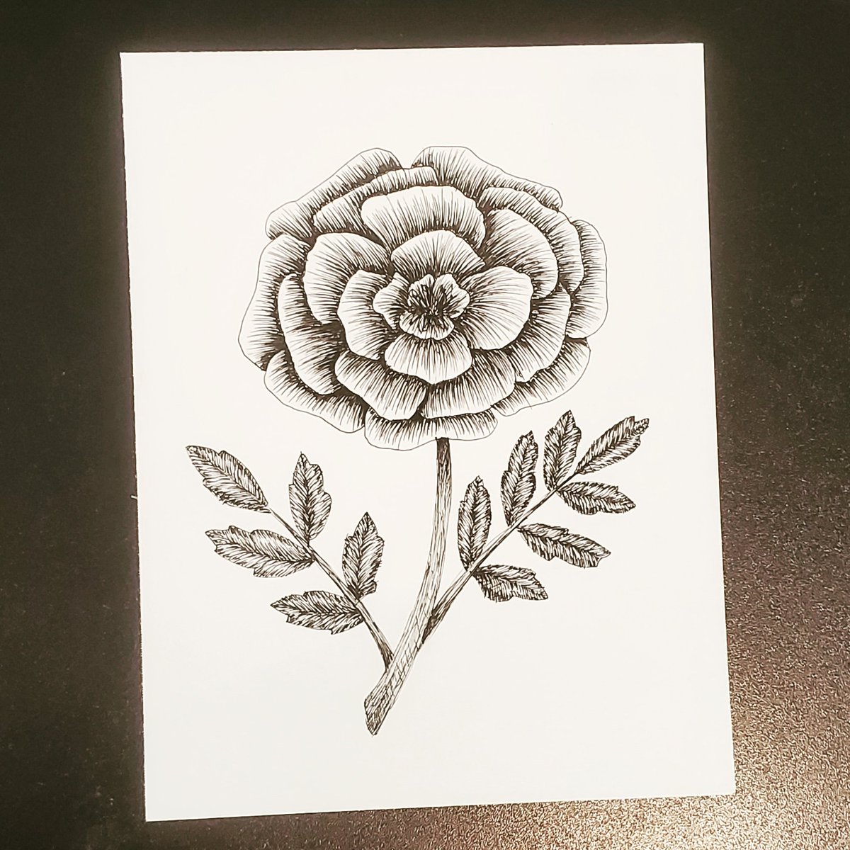 art_with_o's tweet image. #marigoldsforelpaso #weareone #neighborlypride #fhsartists