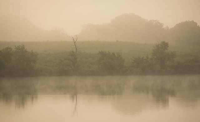 izzihome's tweet photo. Early morning fog tinted with the colour of the rising sun at Pawnee State Recreation Area in Nebraska
#sunrise #fog #water #lake #Pawnee #PawneeStateRecreationArea #LakeViewCampground @negameandparks #nebraska #explorenebraska #exploreusa https://t.co/VDon6zSvPR https://t.co/tcCjH0JkEs