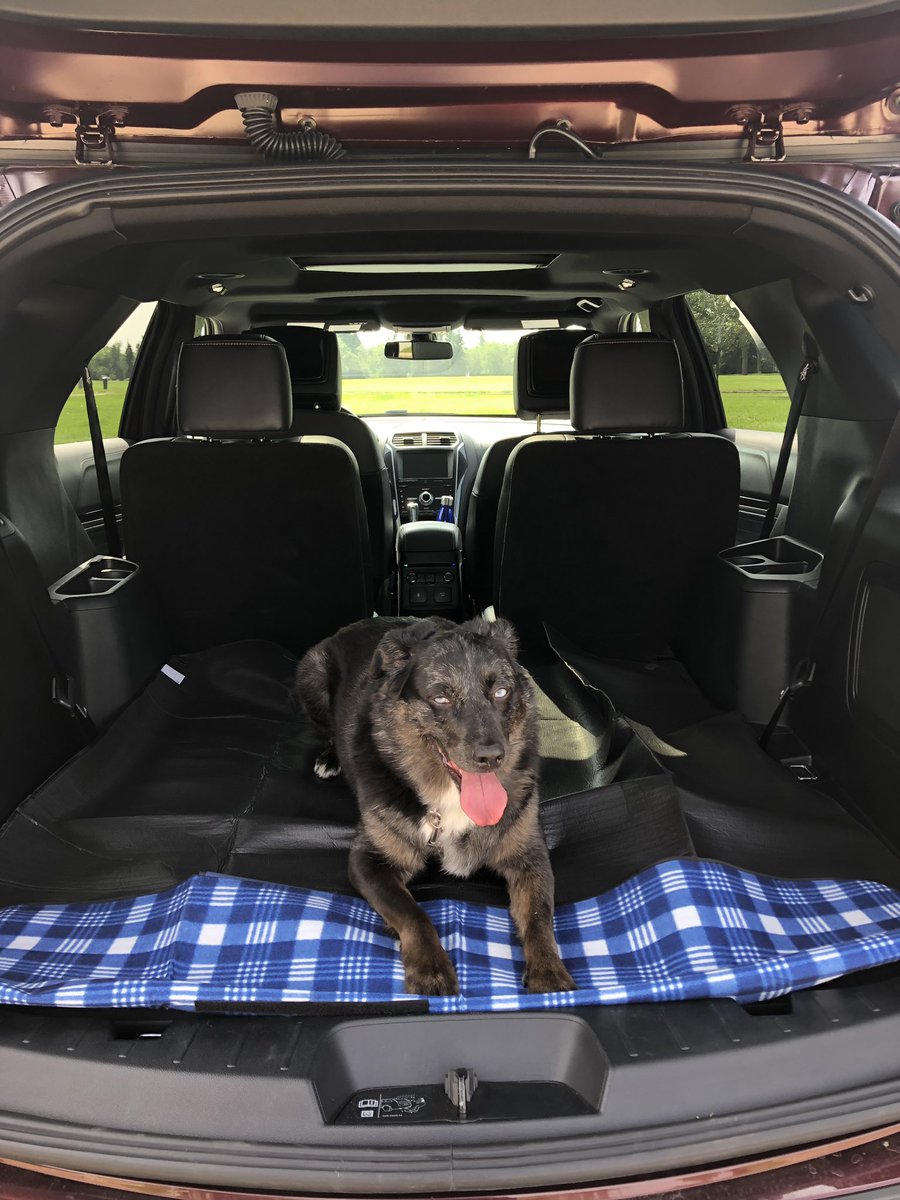 Coffee_Baileys's tweet photo. First stop - loading Chili Dawg into the #ford_explorer (look at the room!) & hitting a trail in the rivervalley. Neighbourhoods like Rossdale are so historic, pretty & lead to green spaces and the river!#fordoutdoors #ford_partner #yeg @pumpkinprco @FordCanada https://t.co/2yucw8covJ