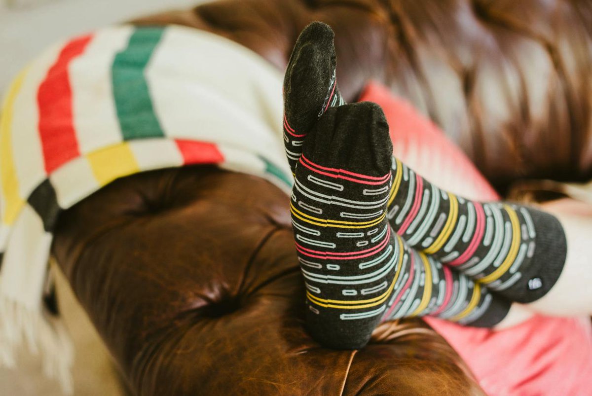 SockFancy's tweet photo. We're ready for our closeup 📸 #feedyourfancy https://t.co/TZSj0Igt2a