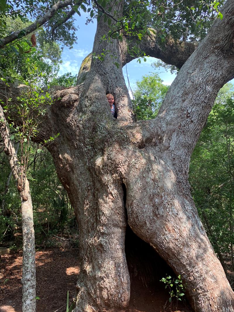 My friend, Crystal, is a finalist in Bald Head Island Limited Property Management’s Story Contest. Help me rally... flip.to/r/n1n2