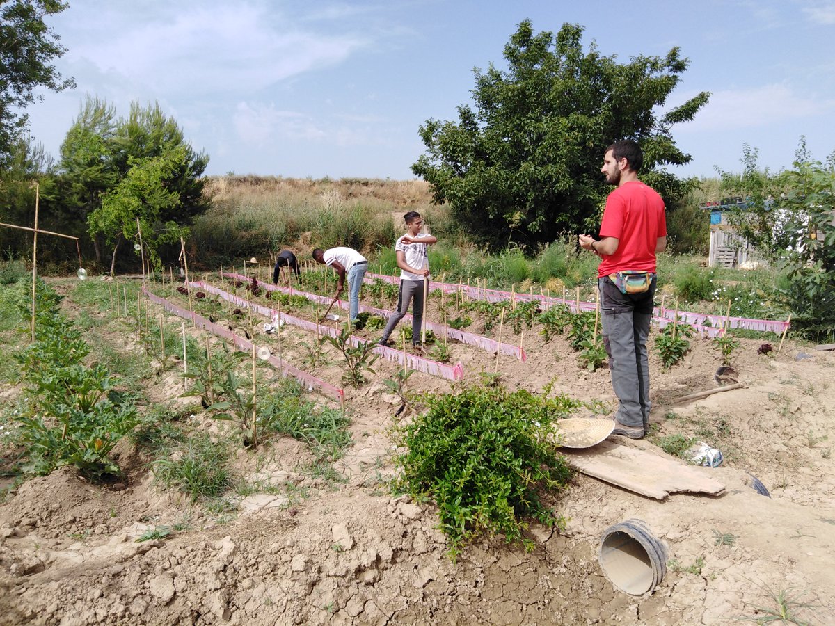 EDUVIC_coop's tweet photo. Fa mig any vam impulsar el Programa AMIT (Aprenc, M’implico i Treballo) per a la inclusió sociolaboral dels joves migrats sols. En l'actualitat 41 nois estan cursant pràctiques professionals i 13 ja disposen de contractes laborals.

Us ho expliquem aquí!👇🏼
https://t.co/wyQ09lYPMG https://t.co/8Uiv8g23hd
