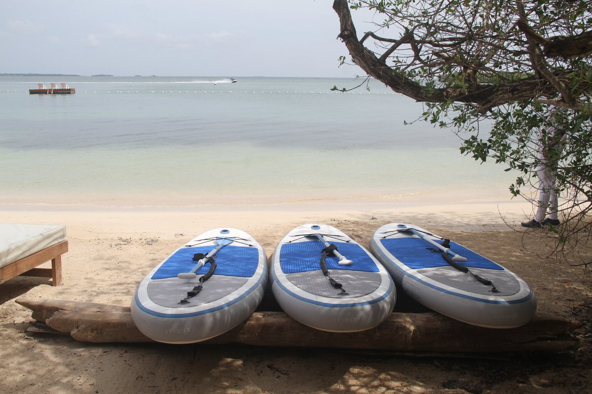 🅰🅻🆅🅰🆁🅾 🅰🅱🆁🅸🅻 tweet media