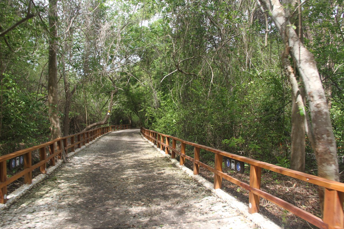 🅰🅻🆅🅰🆁🅾 🅰🅱🆁🅸🅻 tweet media