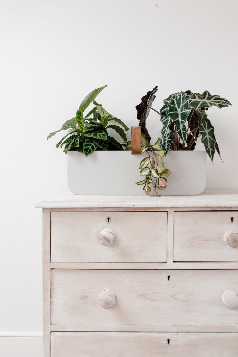 Simple yet functional. The #Nomad will not just be a planter hiding in the corner but a piece of furniture in its own right. By Felix Smith for The Design Kartel
For more information & pricing, contact sales@hunterscontracts.com
#biophilia #biophilicdesign #furniture https://t.co/xnvQxkfHud