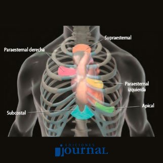 JournalARG's tweet photo. "Tratado de ecocardiografía" del Dr. Lang ofrece guías actualizadas de práctica ecocardiográfica y tecnologías de avanzada, incluyendo ecocardiografía 3D y ecocardiografía con rastreo de marcas para evaluar la deformación miocárdica.

Encontralo en https://t.co/BpjUvZZ2dz https://t.co/4WuTOCrmvV